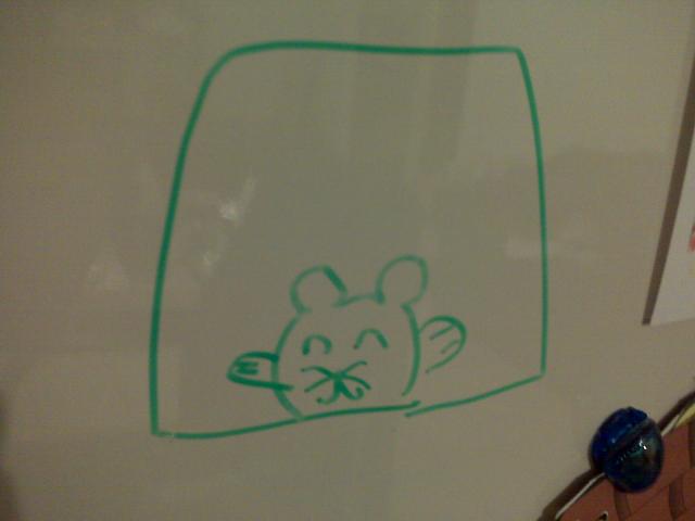 whiteboard2